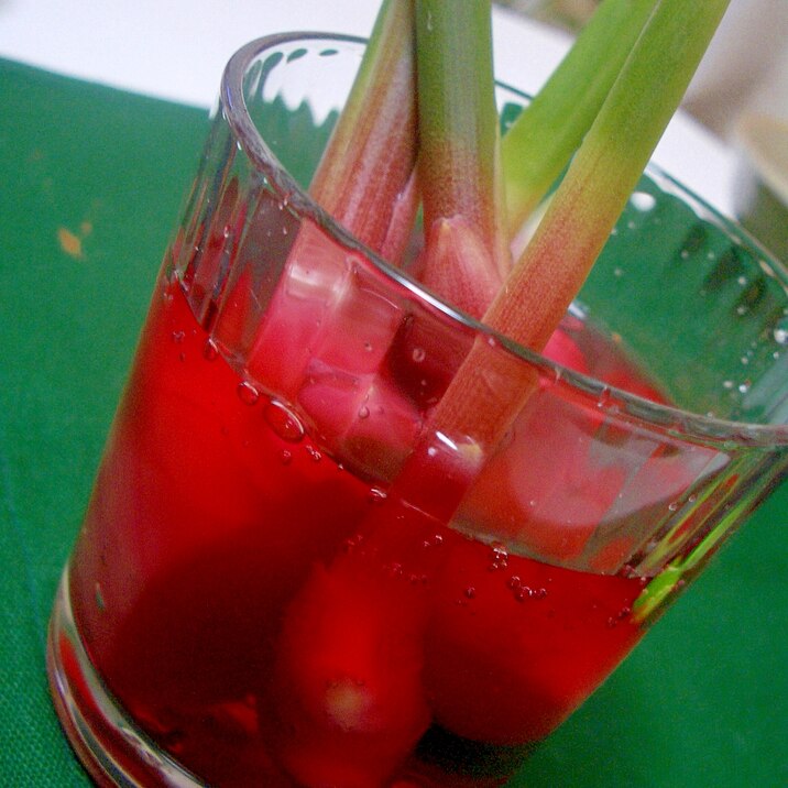 葉生姜の梅甘酢漬け